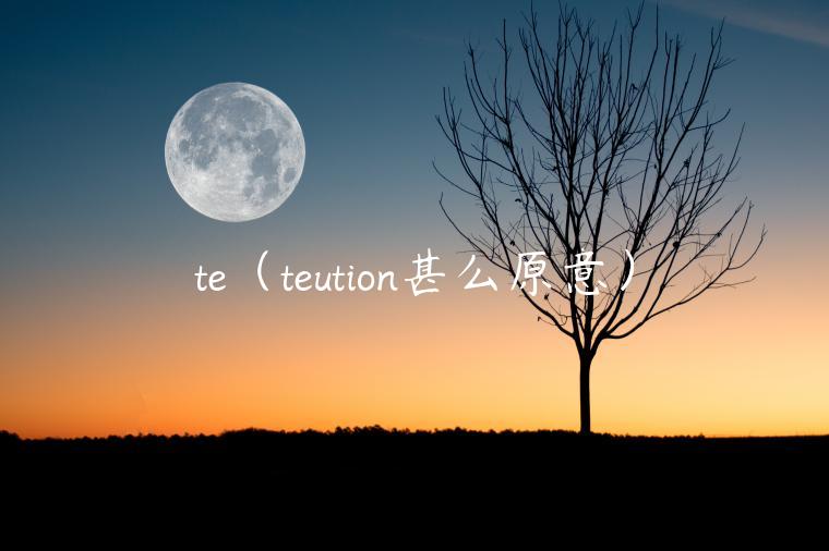 te(teution甚么原意) te(teution甚么原意)