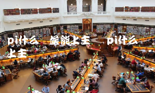 pi什么时候能上主网 pi什么时间上主网