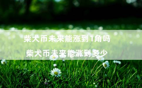 柴犬币未来能涨到1角吗(柴犬币未来能涨到多少)插图 柴犬币未来能涨到1角吗(柴犬币未来能涨到多少)