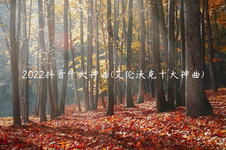 2022抖音十大神曲(艾伦沃克十大神曲)插图 2022抖音十大神曲(艾伦沃克十大神曲)