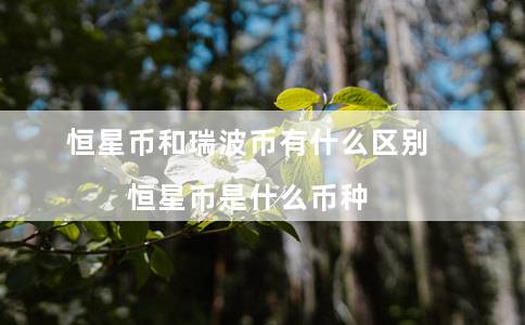 恒星币和瑞波币有什么区别(恒星币是什么币种)插图 恒星币和瑞波币有什么区别(恒星币是什么币种)