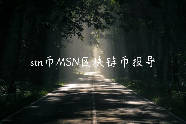 stn币MSN区块链币报导