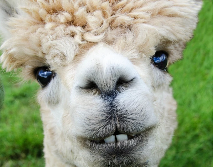 基金怎么可以赚钱（基金怎样赚钱）5