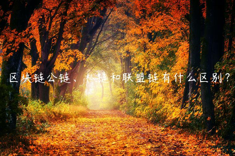 区块链公链、私链和联盟链有什么区别？