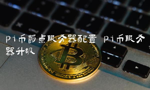 pi币节点服务器配置 pi币服务器升级