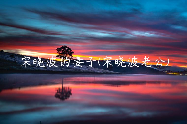 宋晓波的妻子(宋晓波老公)