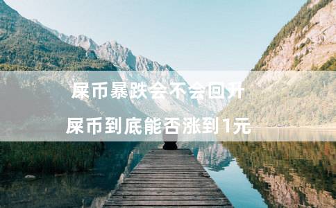 屎币暴跌会不会回升（屎币到底能否涨到1元）