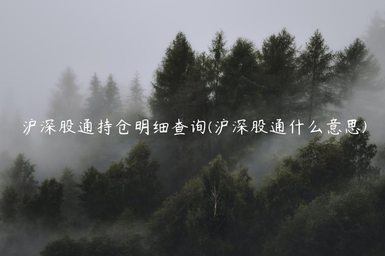 沪深股通持仓明细查询(沪深股通什么意思)