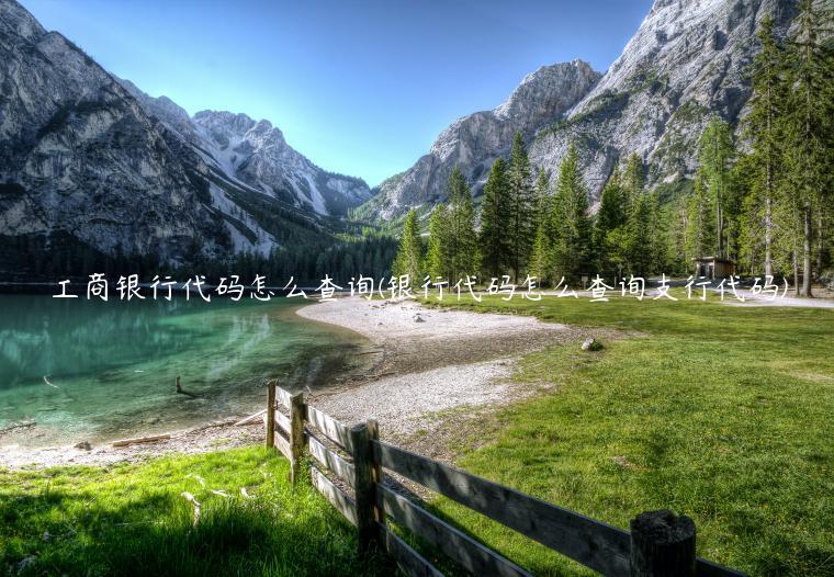 工商银行代码怎么查询(银行代码怎么查询支行代码)