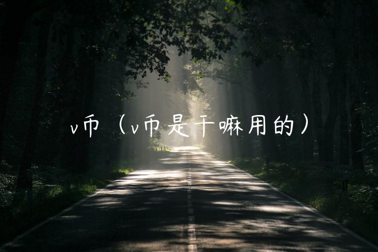 v币（v币是干嘛用的）