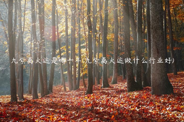 九紫离火运是哪一年(九紫离火运做什么行业好)