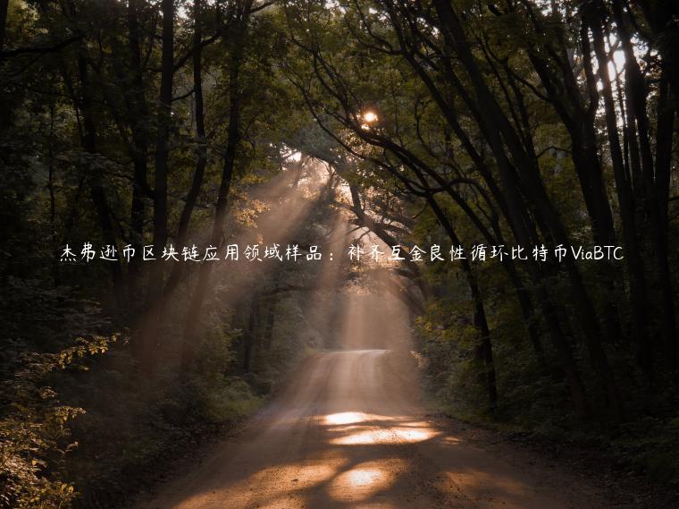 杰弗逊币区块链应用领域样品：补齐互金良性循环比特币ViaBTC