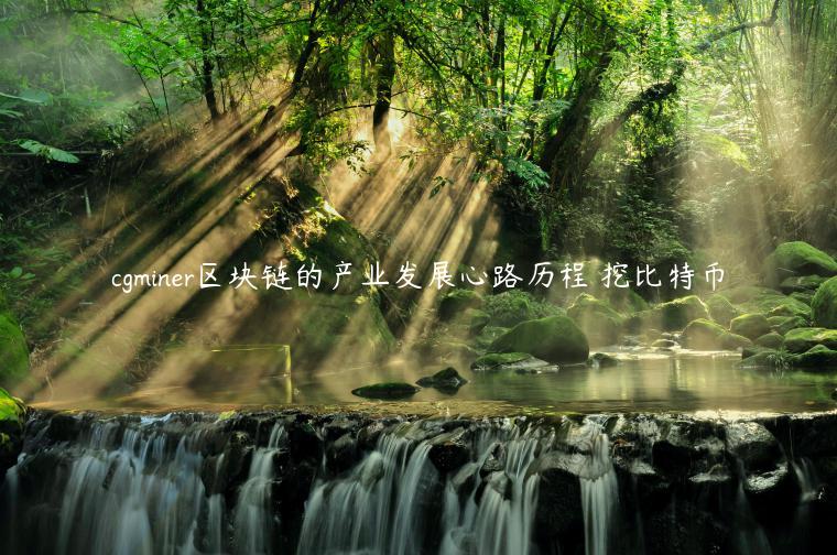cgminer区块链的产业发展心路历程 挖比特币