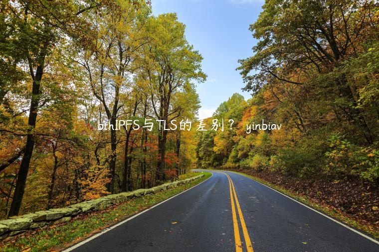 bthIPFS与TLS的差别？ yinbiav