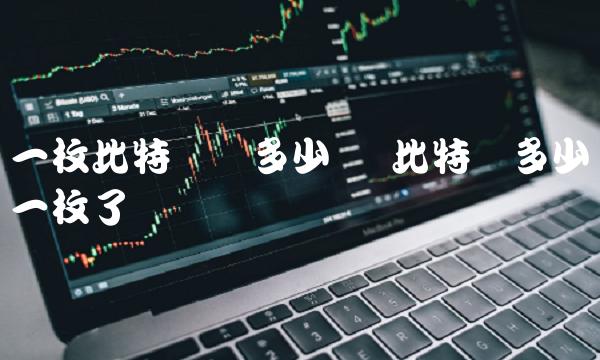 一枚比特币卖多少钱插图 一枚比特币卖多少钱