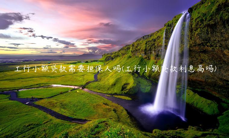 工行小额贷款需要担保人吗(工行小额贷款利息高吗)