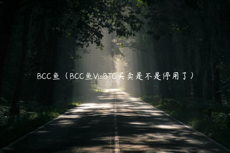 BCC鱼（BCC鱼ViaBTC买卖是不是停用了）
