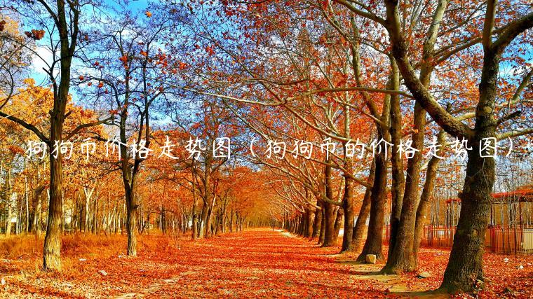 狗狗币价格走势图(狗狗币的价格走势图)