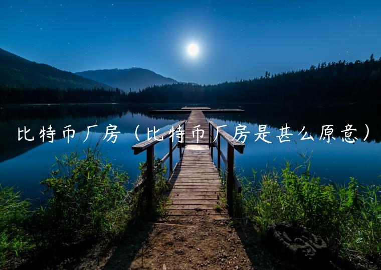 比特币厂房（比特币厂房是甚么原意）