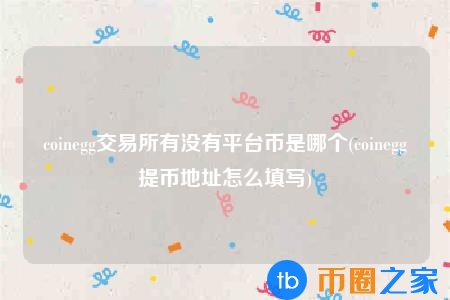 自己的提币地址在哪里(提币地址填什么)