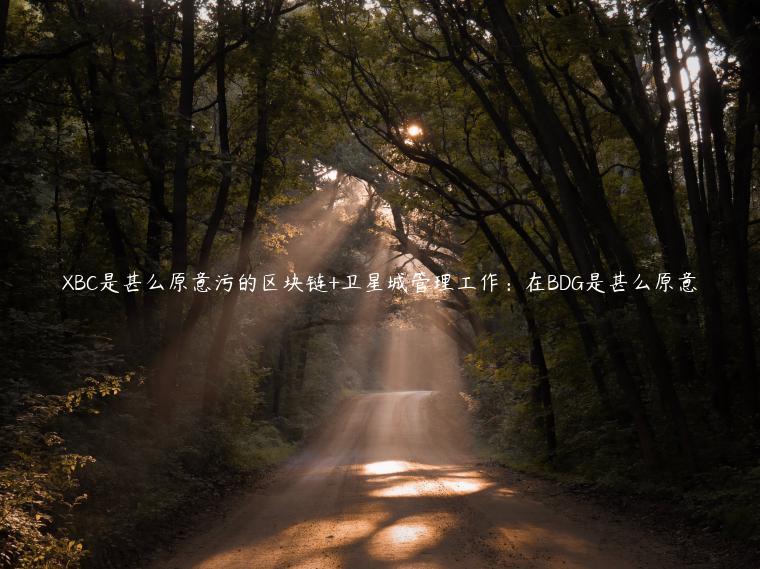 XBC是甚么原意污的区块链+卫星城管理工作：在BDG是甚么原意