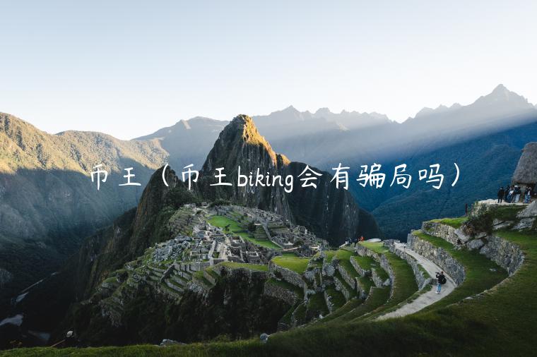 币王（币王biking会有骗局吗）