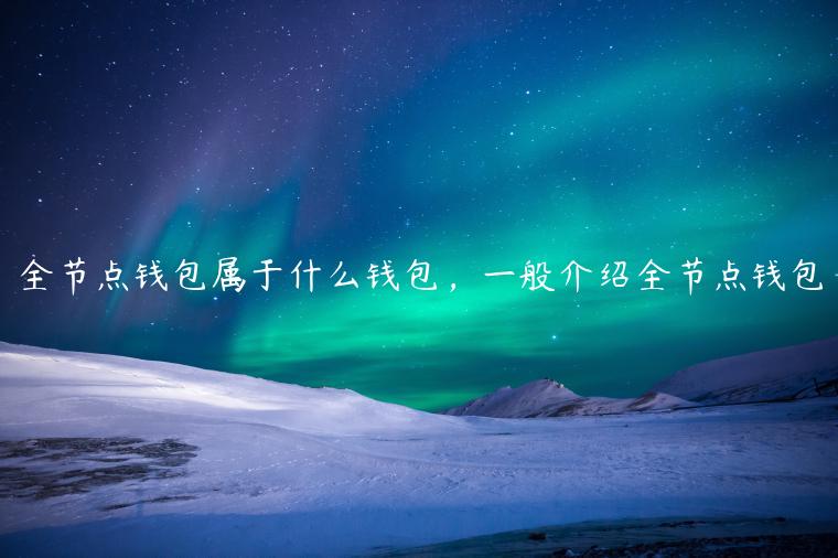 全节点钱包属于什么钱包，一般介绍全节点钱包