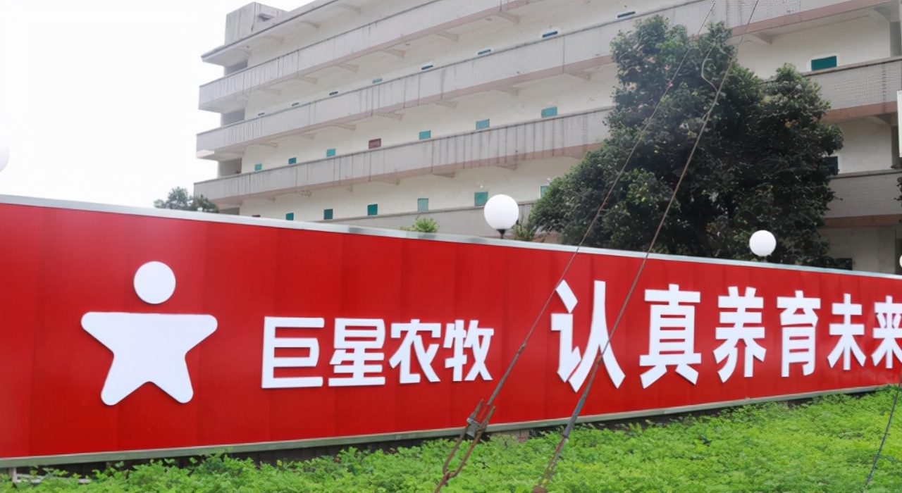 猪肉股票有哪些（猪肉股票有哪些代码）