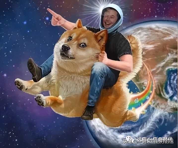 狗狗币多少钱一个2021(狗狗币多少钱能买)插图3 狗狗币多少钱一个2021(狗狗币多少钱能买)