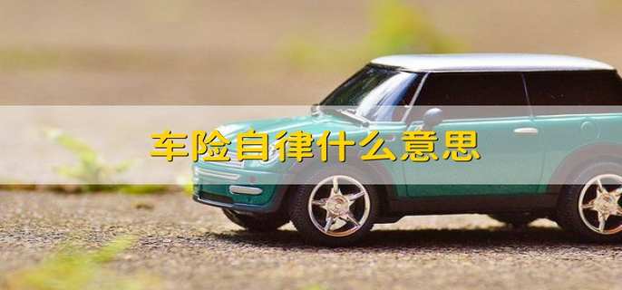 什么是车险自律 车险自律的含义
