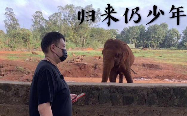 大象传媒软件下载（大象传媒软件下载苹果版）2