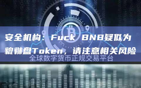 安全机构：Fuck BNB疑似为貔貅盘Token，请注意相关风险