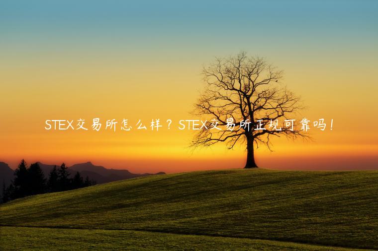 STEX交易所怎么样?STEX交易所正规可靠吗!插图 STEX交易所怎么样?STEX交易所正规可靠吗!