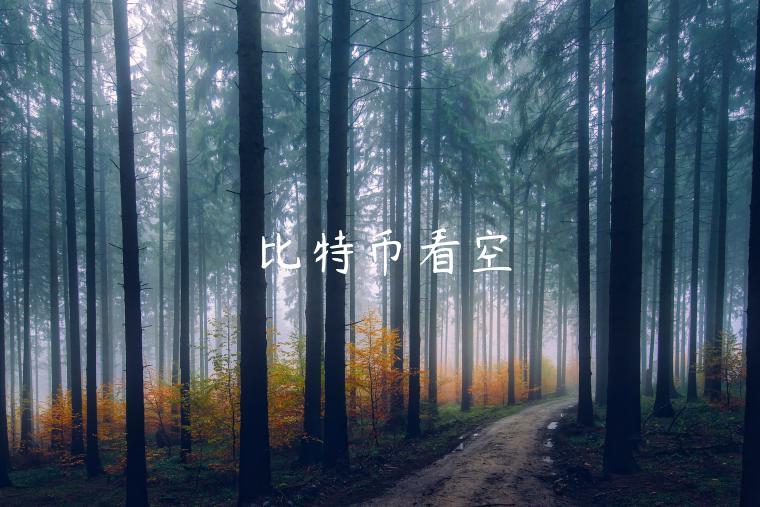 比特币看空