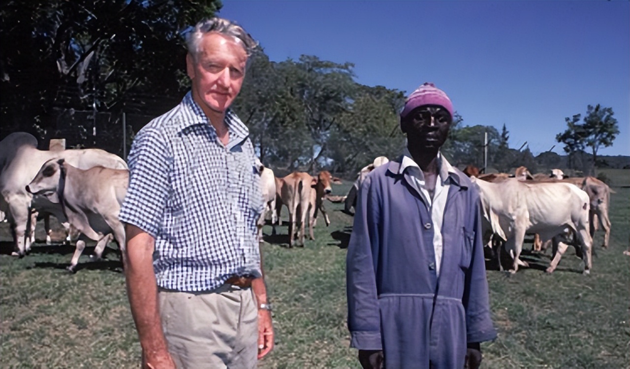 津巴布韦汇率对人民币（津巴布韦汇率人民币多少）4