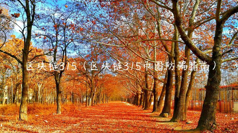 区块链315（区块链315币圈防骗指南）