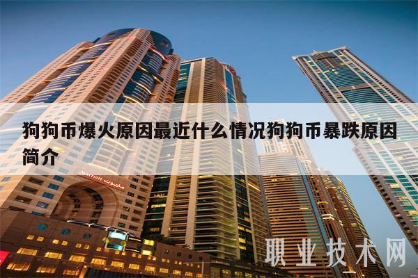 狗狗币爆火原因最近什么情况狗狗币暴跌原因简介