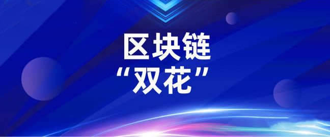 区块链及数字货币中双花问题是什么意思 如何防范双花问题插图 区块链及数字货币中双花问题是什么意思 如何防范双花问题