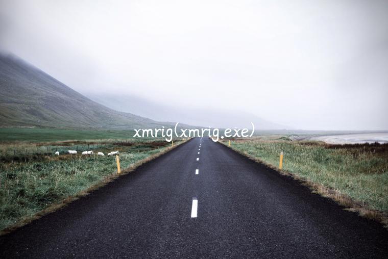 xmrig(xmrig.exe)