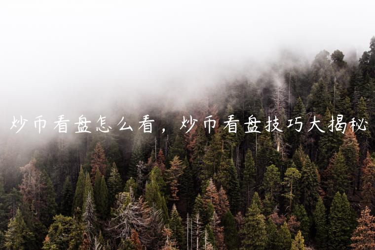 炒币看盘怎么看，炒币看盘技巧大揭秘