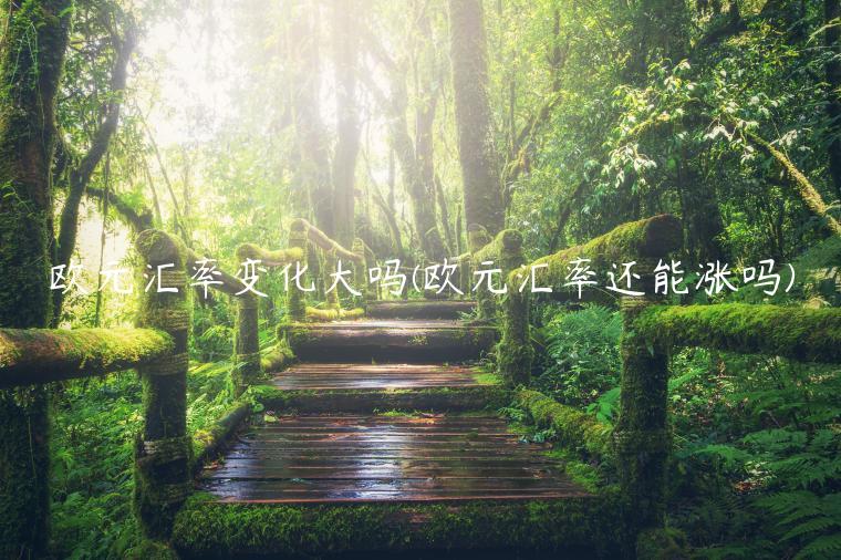 欧元汇率变化大吗(欧元汇率还能涨吗)
