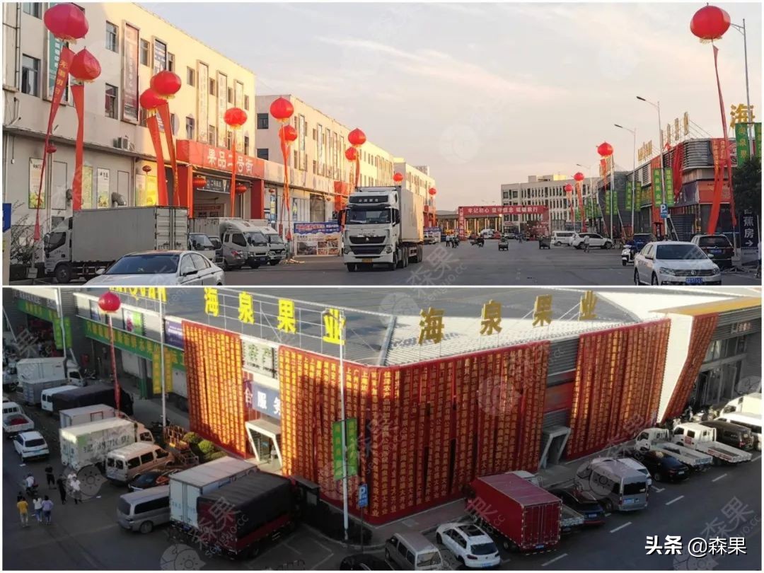 海泉果业官网（山泉果业有限公司）8