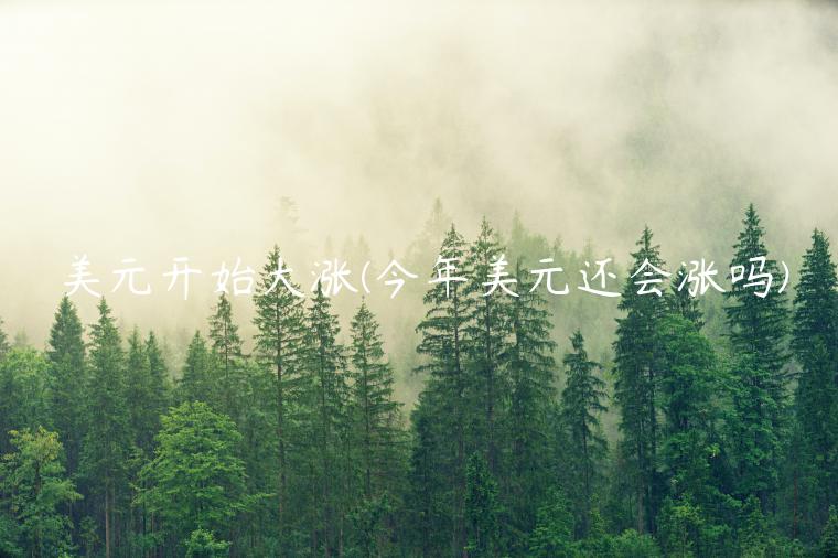 美元开始大涨(今年美元还会涨吗)