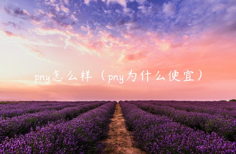 pny怎么样(pny为什么便宜)