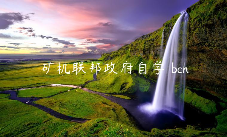 矿机联邦政府自学 bch