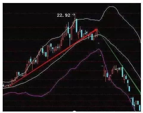 boll是什么意思（boll是什么意思译）3