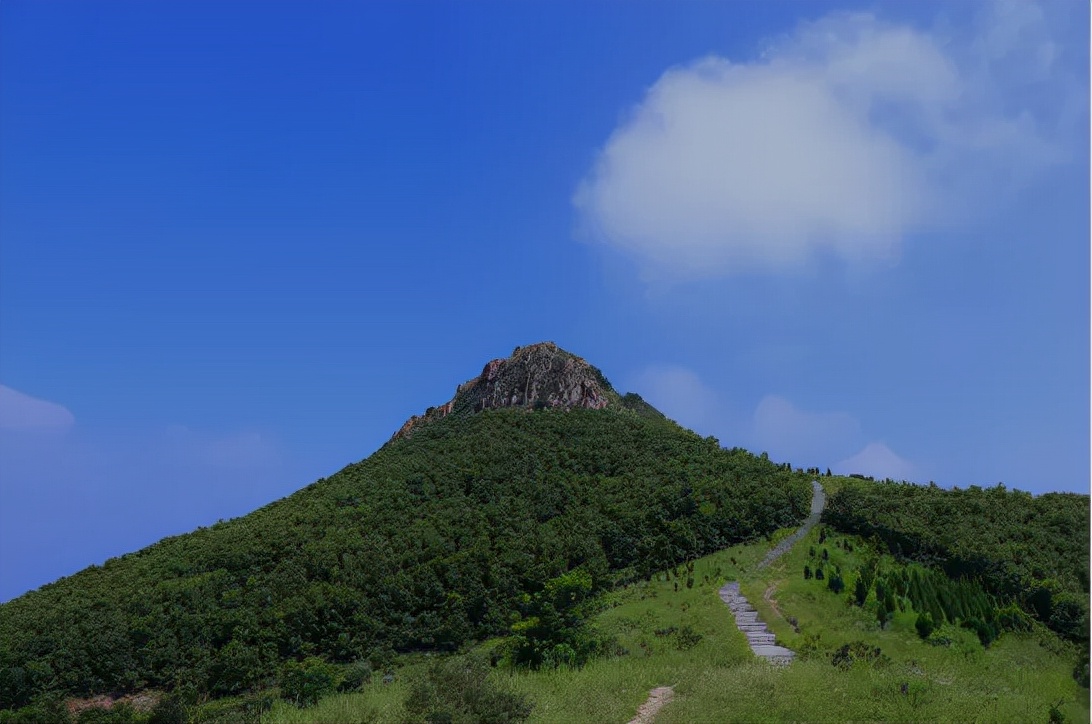 景区的生态果园的作用（生态果园的优势及前景）6