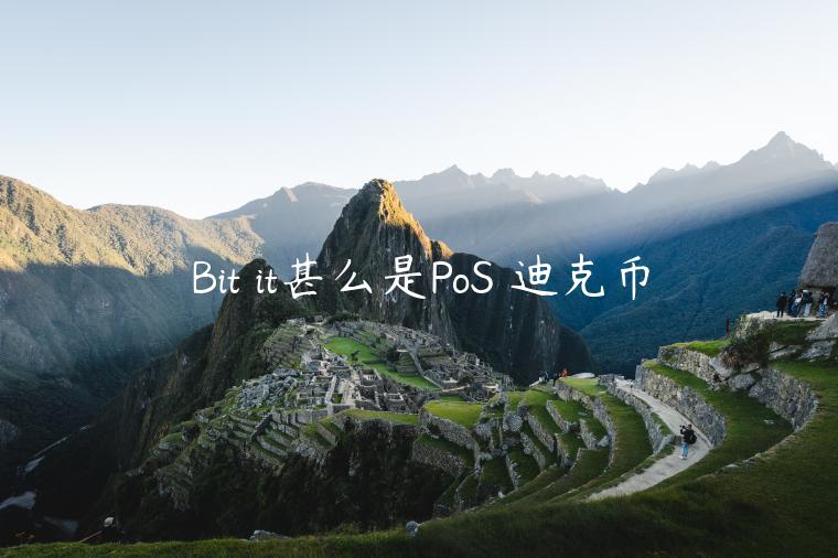 Bit it甚么是PoS 迪克币