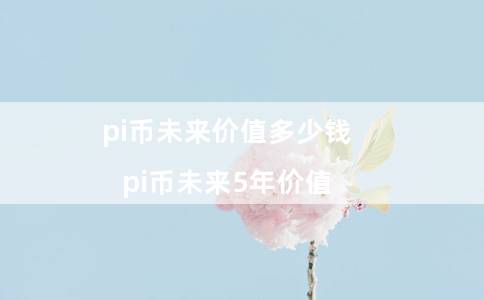 pi币未来价值多少钱（pi币未来5年价值）