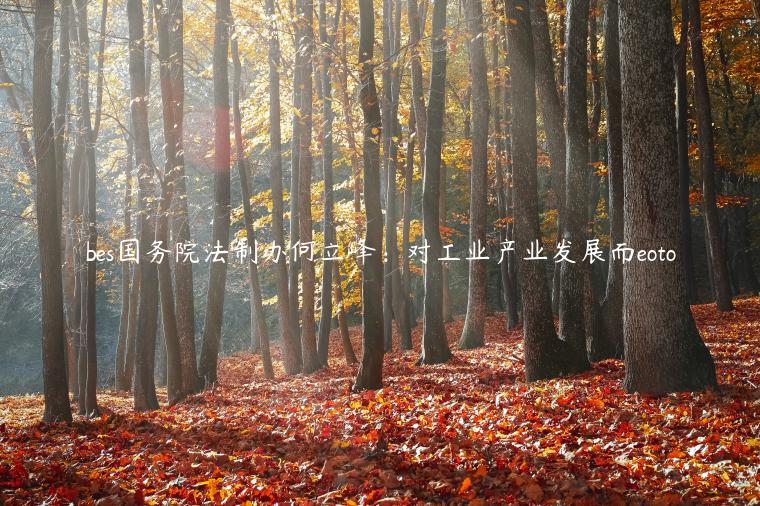 bes国务院法制办何立峰：对工业产业发展而eoto